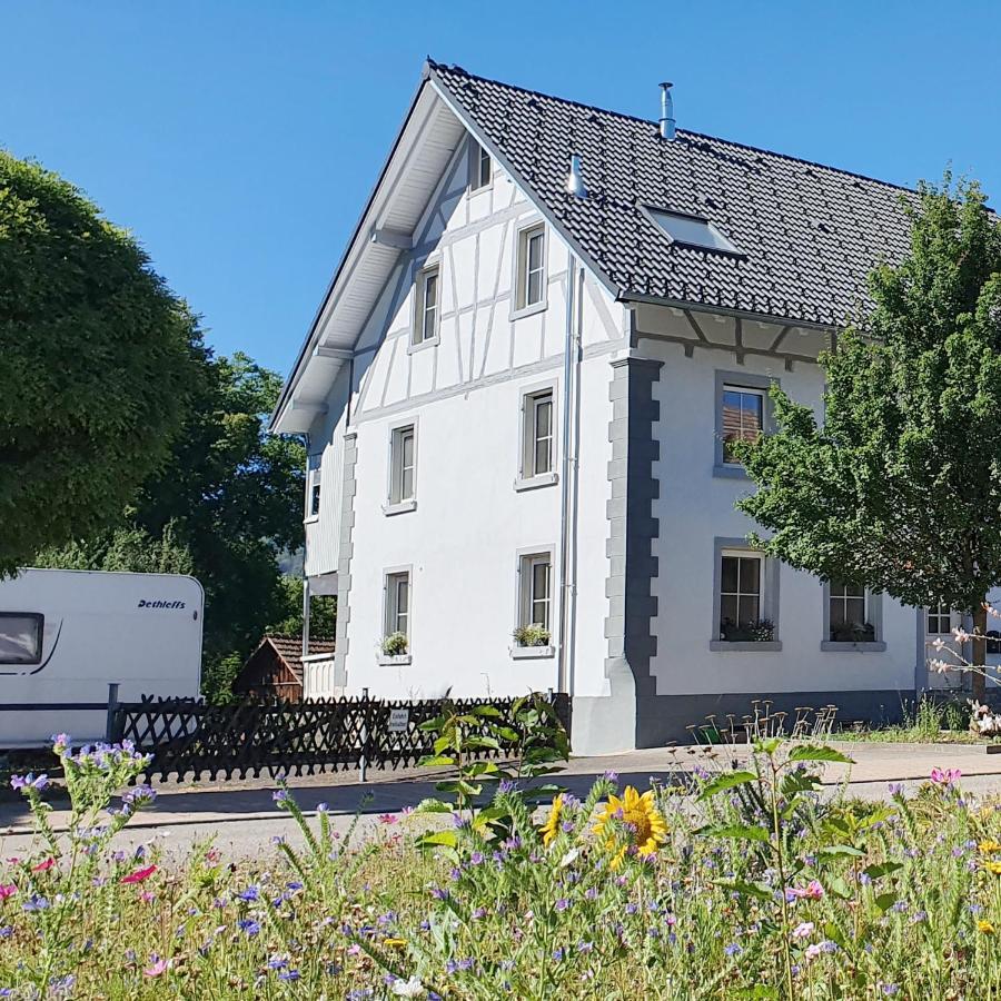 Apartment Kerbholz - Zwischen Suedschwarzwald Und Schweiz Griessen Ngoại thất bức ảnh