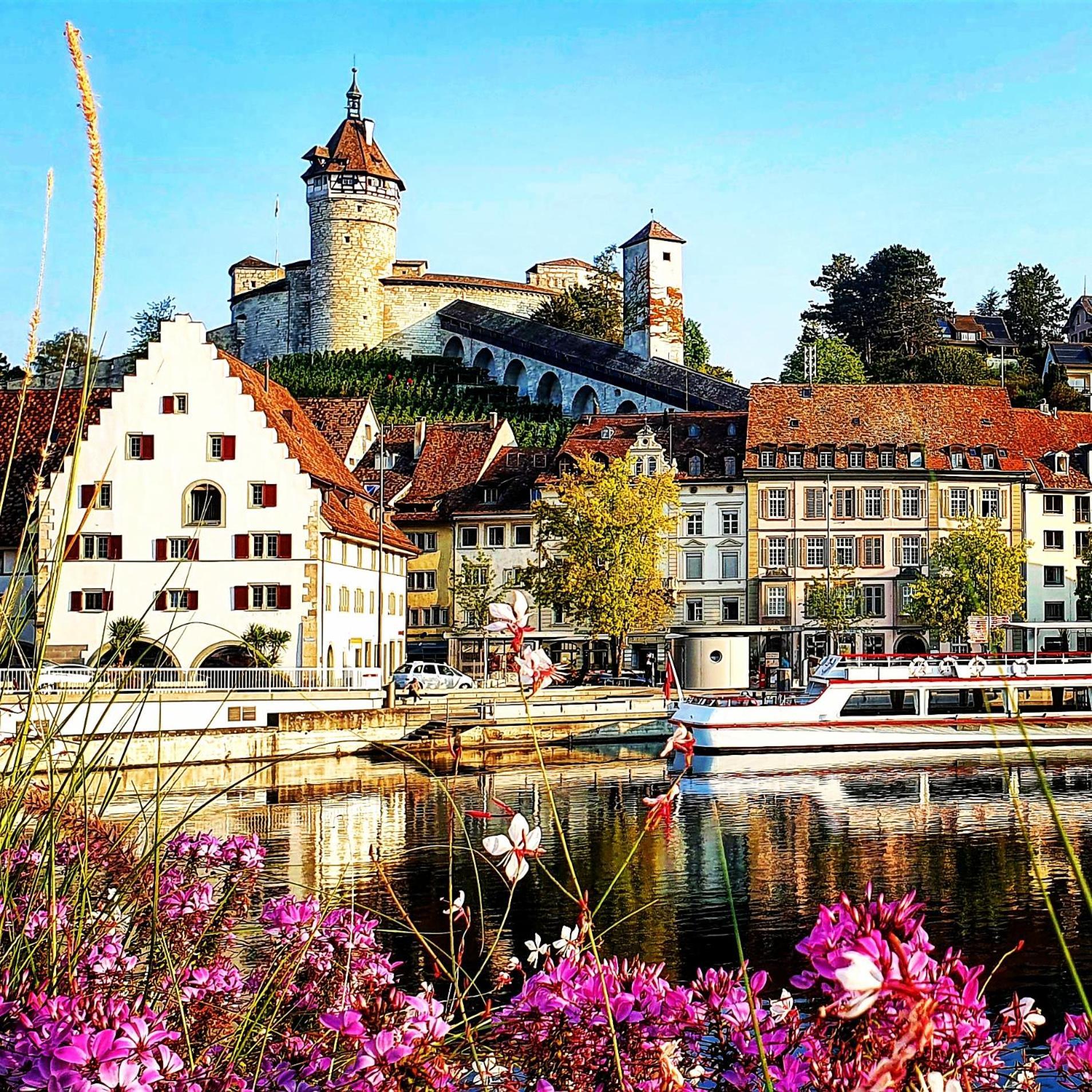 Apartment Kerbholz - Zwischen Suedschwarzwald Und Schweiz Griessen Ngoại thất bức ảnh